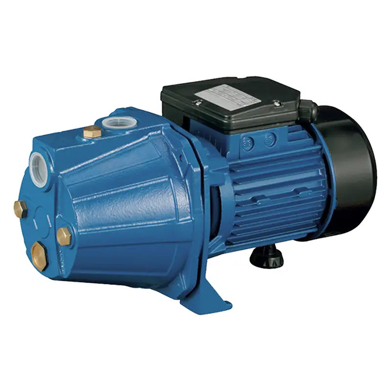 Bomba Água 1Cv Centrífuga Autoaspirante Eletroplas Bivolt