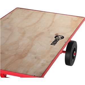 Carrinho plataforma de compensado, 250 kgf, desmontado, NOVE54