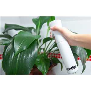 Pulverizador 300 ml, spray contínuo, VONDER