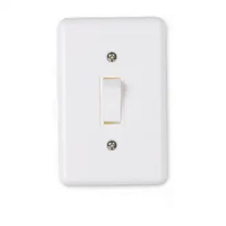 Interruptor 1 Simples 2X4 06A Branco Ilumi C25