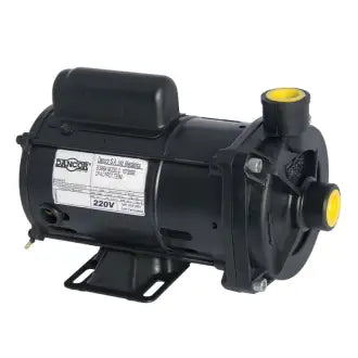 Bomba Dancor Cp4 Centrífuga 1/3Cv Bivolt