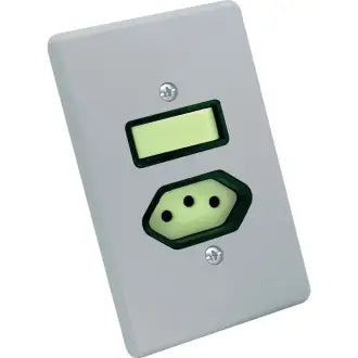 Interruptor 1 Simples + 1 Tomada 2X4 10A Cinza Radial C20