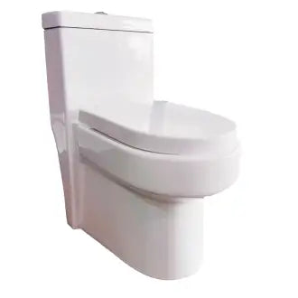 Vaso Sanitário Branco Monobloco C/Assento Dvg